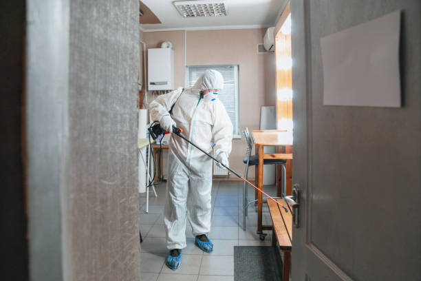 Best Emergency Mold Remediation  in Weimar, TX