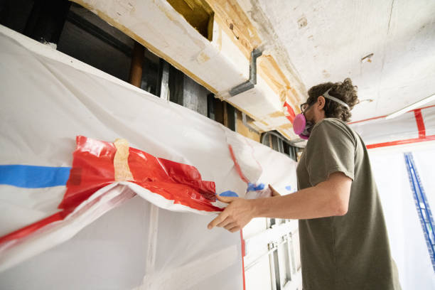 Best Basement Mold Removal  in Weimar, TX