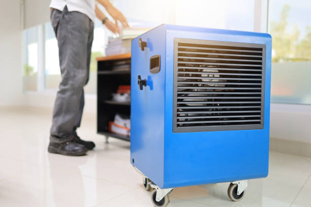 Best Residential Mold Inspection & Testing  in Weimar, TX