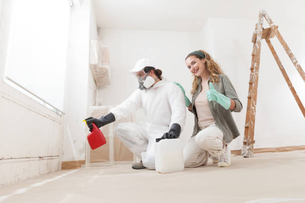 Biohazard Mold Removal in Weimar, TX