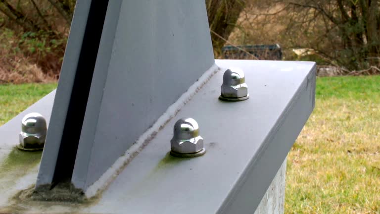 Best Mold Damage Restoration  in Weimar, TX